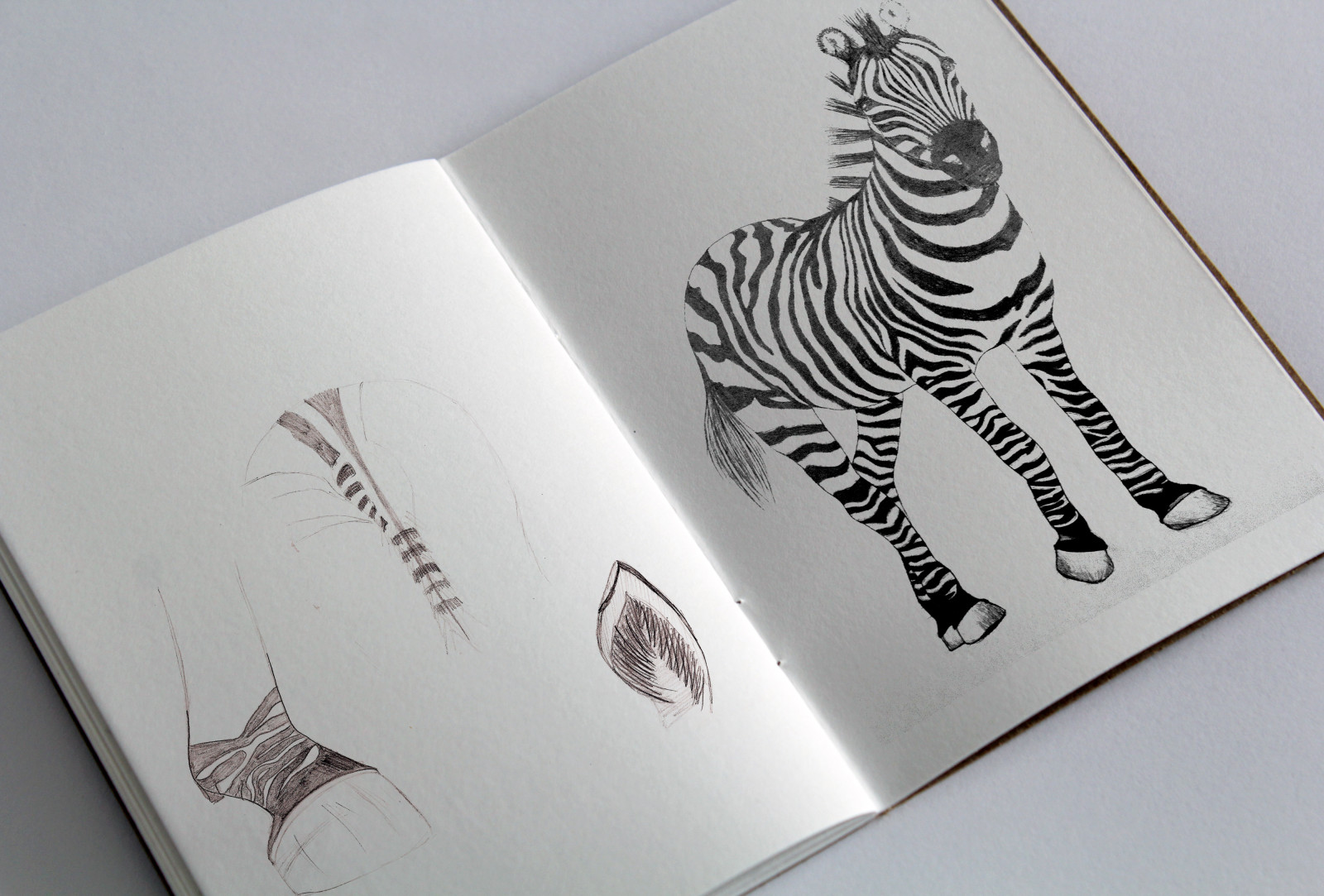 sketchbook_Zebra